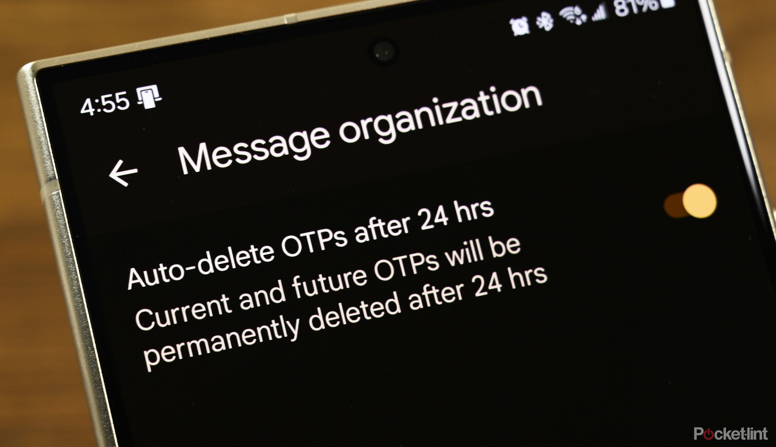 Google Messages Auto Delete OTP